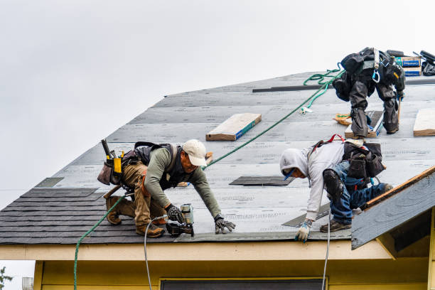 Professional Storm Damage Roof Repair technician working in Morning View, KY